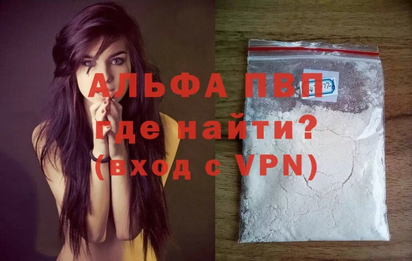 ECSTASY Новозыбков