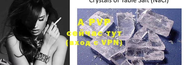 ECSTASY Новозыбков